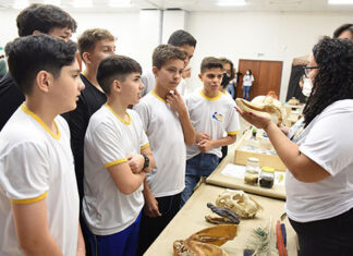 Feira sobre ciência evolutiva conquista alunos do ensino fundamental e médio