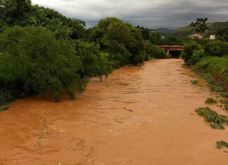 Ex-servidora comissionada do IAT é condenada por emissão indevida de licenças ambientais