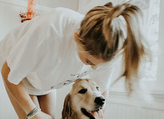 O verão chegou, saiba como prevenir dermatites em cães e gatos