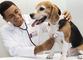 Processo seletivo está aberto para Residência em Medicina Veterinária/UENP