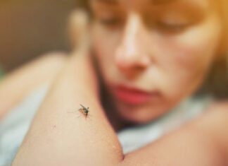 Boletim semanal da dengue contabiliza 472 novos casos no Paraná