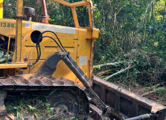 IAT impede desmatamento de grandes proporções em São Jerônimo da Serra