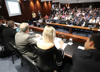 Audiência pública debate a política federal de controle de armas