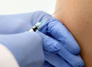 Anvisa aprova nova vacina contra a dengue