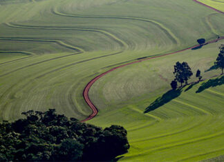 Governo do Estado disponibiliza R$ 12,7 milhões para o seguro rural em 2023