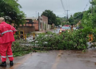 Ao menos 15 famílias foram afetadas pela chuva que caiu novamente em Bandeirantes na madrugada do último domingo