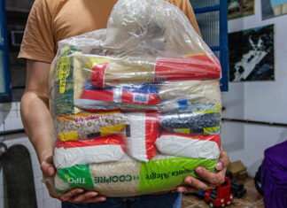 Réus denunciados pelo MPPR são condenados por fraude em licitação em Cornélio