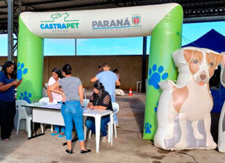 Programa Castrapet Paraná chegará a nove cidades em maio