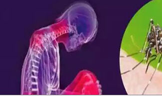 Saúde registra três óbitos por dengue e um por chikungunya