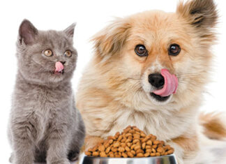 Alimentação exige cuidados