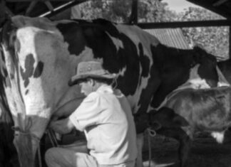 Fragmentos da Nossa História: