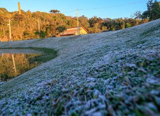 Começa operacionalizar o Serviço Alerta Geada
