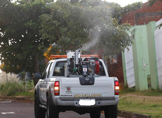 Novo inseticida contra mosquito da dengue deve chegar ao Paraná ainda neste mês