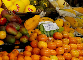 Preços de frutas da estação, como caqui e tangerina, caem quase 30%, aponta boletim do Deral