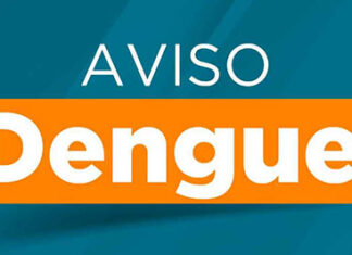 Secretaria da Saúde confirma mais 13 óbitos e 8.299 novos casos de dengue