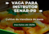 SENAR-PR busca instrutores para curso de cultivo de mandioca
