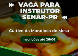 SENAR-PR busca instrutores para curso de cultivo de mandioca