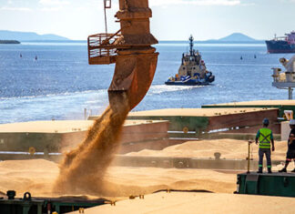 Norte do Paraná lidera envio de grãos para Paranaguá no 1º quadrimestre