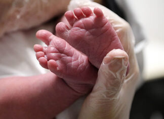 Técnicos e profissionais de saúde passam por treinamento e capacitação