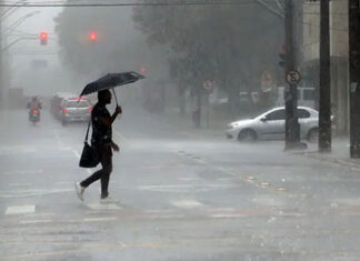 Norte e Nordeste do PR registraram maior elevação da temperatura média pós 2000