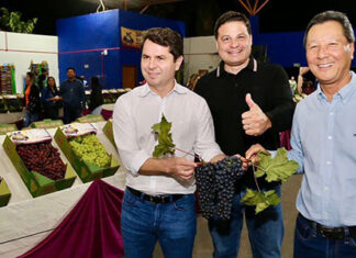 Na Festa da Uva Fina!