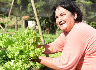 Projeto ajuda produtoras de orgânicos a expandirem produção