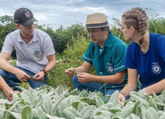 Agrinho dentro dos colégios agrícolas incentiva pesquisa científica