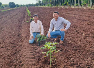 Produtor prepara terceira geração de liderança rural