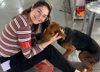 Com fim do terceiro ciclo, Castrapet Paraná chega a quase 70% dos municípios