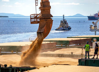 Região Norte é destaque no envio de soja para Paranaguá no 1º semestre