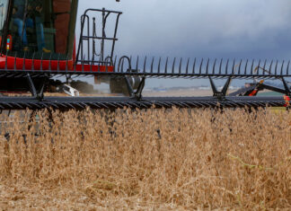 Com expansão de 37%, safra de grãos 22/23 deve chegar a 46,6 milhões de toneladas no Paraná