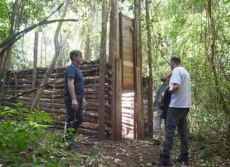 Projeto analisa zoonoses emergentes relacionadas ao javali na Mata São Francisco