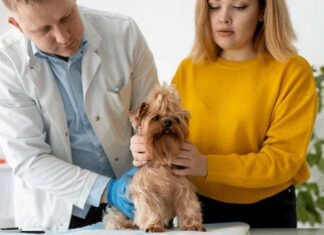 Julho Dourado alerta para o controle de zoonoses em animais domésticos