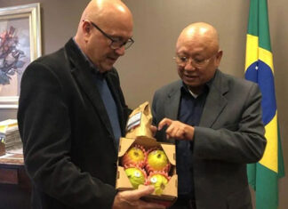 Norte Pioneiro é referência nacional na produção de orgânicos