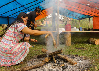 Censo 2022: Paraná tem 30.460 indígenas em 345 cidades