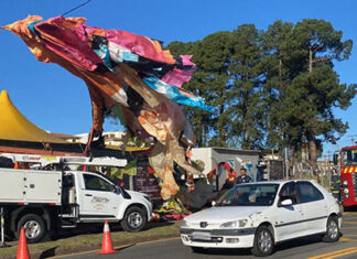 Balões em contato com rede elétrica provoca interrupções e transtornos