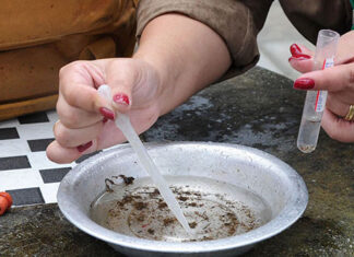 Período epidemiológico 2022/2023 da dengue termina com 135 mil casos e 108 mortes