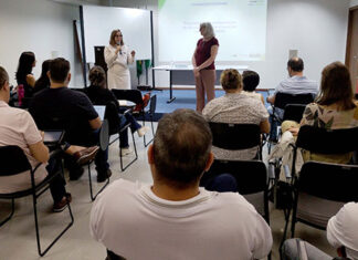 Novas estratégias são estudadas para combater dengue e demais arboviroses