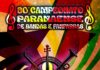 Bandeirantes vai sediar Campeonato de Fanfarras