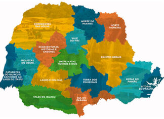 O ensino da História do Paraná