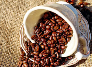 Feira de Cafés Especiais e de Sabores começa nesta terça-feira, em Jacarezinho