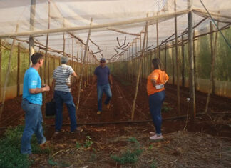 Reunião técnica aborda implantação de Produção Orgânica em Estufas