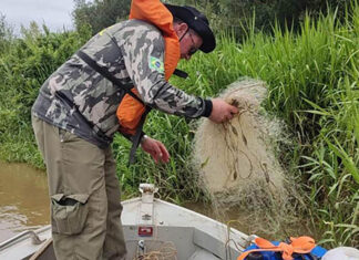 Defeso da piracema começa na quarta-feira e terá intensa fiscalização do IAT