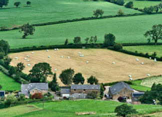 CAR atinge 93% no Paraná, mas número de análises concluídas ainda é pequeno