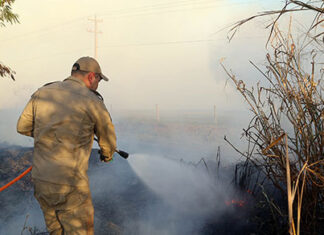 Sancionada lei que institui programa para expandir apoio dos bombeiros aos municípios