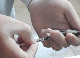 Pesquisas vão auxiliar na saúde de peixes criados no Paraná