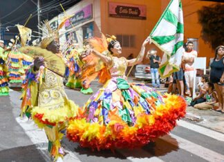 ‘Quem tem medo da Diversidade?’ é o enredo da Acadêmicos Capiau para o Carnaval 2024 em Jacarezinho
