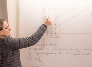 Unespar abre inscrições do concurso público com 86 vagas para docentes em fevereiro