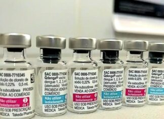 Primeiras doses da vacina do SUS contra dengue chegam ao Brasil