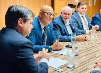 Em Brasília, Romanelli busca solução para a termelétrica de Figueira